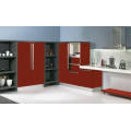 Cabinet de cuisine en acrylique (ZH-DEMET9615)